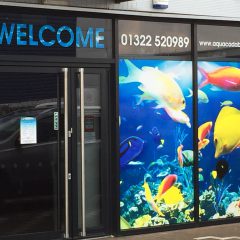 Aquacadabra Digital Print Contravision Window Display